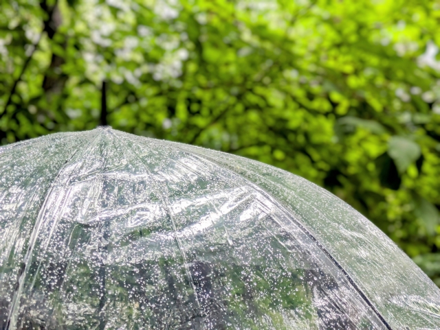 雨