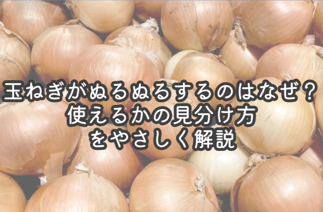 玉ねぎがぬるぬるするのはなぜ？使えるかの見分け方をやさしく解説